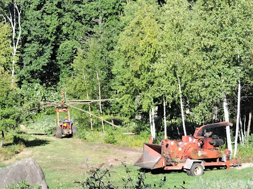 M Flagg Tree Services work photo