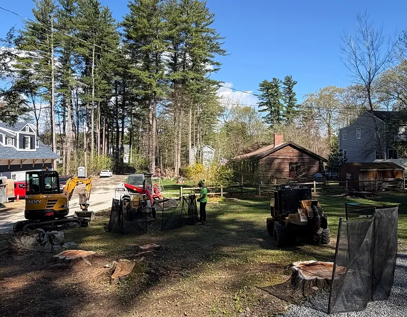 Excavators and equipment on grassy lawn
