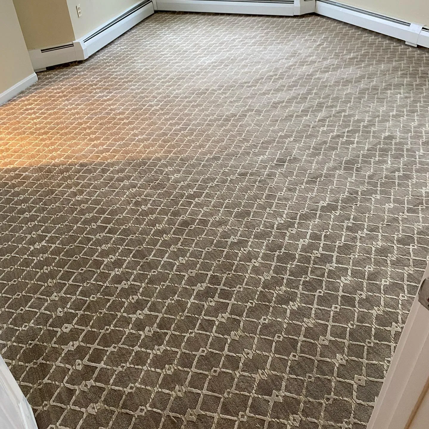 Loftus Flooring Sales & Cleaning researched project photo