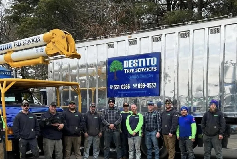 work photo from destitotreeservices.com