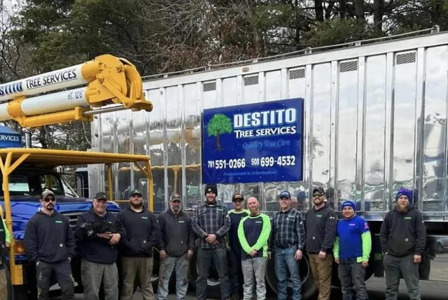 work photo from destitotreeservices.com