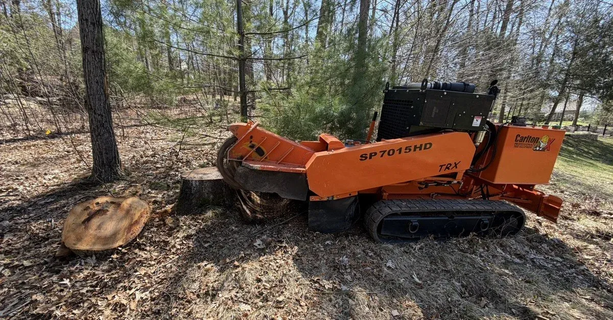 Stump Grinding Manchester CT